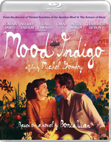 Mood Indigo (Blu-ray Movie)