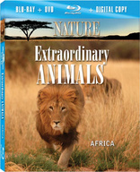 Nature: Extraordinary Animals: Africa (Blu-ray Movie)