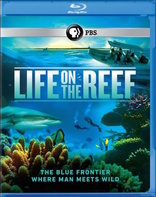 Life on the Reef (Blu-ray Movie), temporary cover art