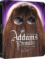 The Addams Family (Blu-ray Movie)