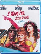 To Wong Foo, Thanks for Everything! Julie Newmar (Blu-ray Movie)