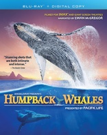 Humpback Whales (Blu-ray Movie), temporary cover art