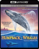 Humpback Whales 4K + 3D (Blu-ray Movie)