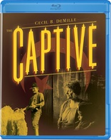 The Captive (Blu-ray Movie)