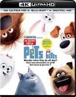 The Secret Life of Pets 4K (Blu-ray Movie)