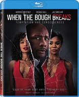 When the Bough Breaks (Blu-ray Movie)