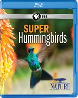 Nature: Super Hummingbirds (Blu-ray Movie)