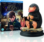 Fantastic Beasts and Where to Find Them 3D (Blu-ray Movie)