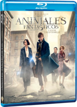 Fantastic Beasts and Where to Find Them (Blu-ray Movie)