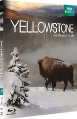 Yellowstone: Battle for Life (Blu-ray Movie)