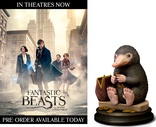 Fantastic Beasts and Where to Find Them (Blu-ray Movie)