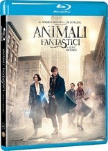 Fantastic Beasts and Where to Find Them (Blu-ray Movie)