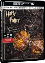 Harry Potter and the Deathly Hallows: Part 1 4K (Blu-ray Movie)