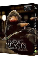 Fantastic Beasts and Where to Find Them (Blu-ray Movie), temporary cover art