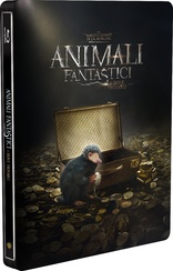 Fantastic Beasts and Where to Find Them (Blu-ray Movie)