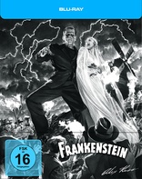 Frankenstein (Blu-ray Movie)