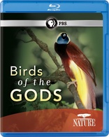 Nature: Birds of the Gods (Blu-ray Movie)