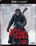 War for the Planet of the Apes 4K (Blu-ray Movie)