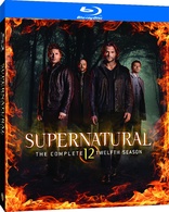 Supernatural: The Complete Twelfth Season (Blu-ray Movie)