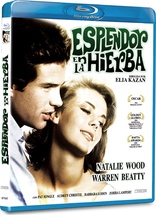 Splendor in the Grass (Blu-ray Movie)