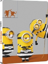 Despicable Me 3 3D (Blu-ray Movie)