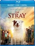 The Stray (Blu-ray Movie)