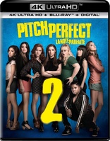 Pitch Perfect 2 4K (Blu-ray Movie)