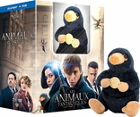 Fantastic Beasts and Where to Find Them (Blu-ray Movie)