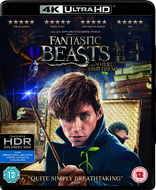 Fantastic Beasts and Where to Find Them 4K (Blu-ray Movie)