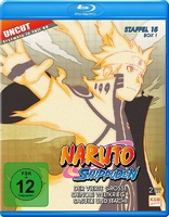 Naruto Shippuden - Staffel 15 - Box 1 (Blu-ray Movie)