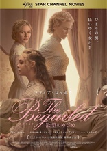 The Beguiled (Blu-ray Movie)