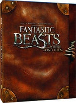 Fantastic Beasts and Where to Find Them 3D (Blu-ray Movie), temporary cover art