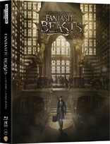 Fantastic Beasts and Where to Find Them 4K (Blu-ray Movie)