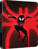 Spider-Man: Into the Spider-Verse 3D (Blu-ray Movie), temporary cover art