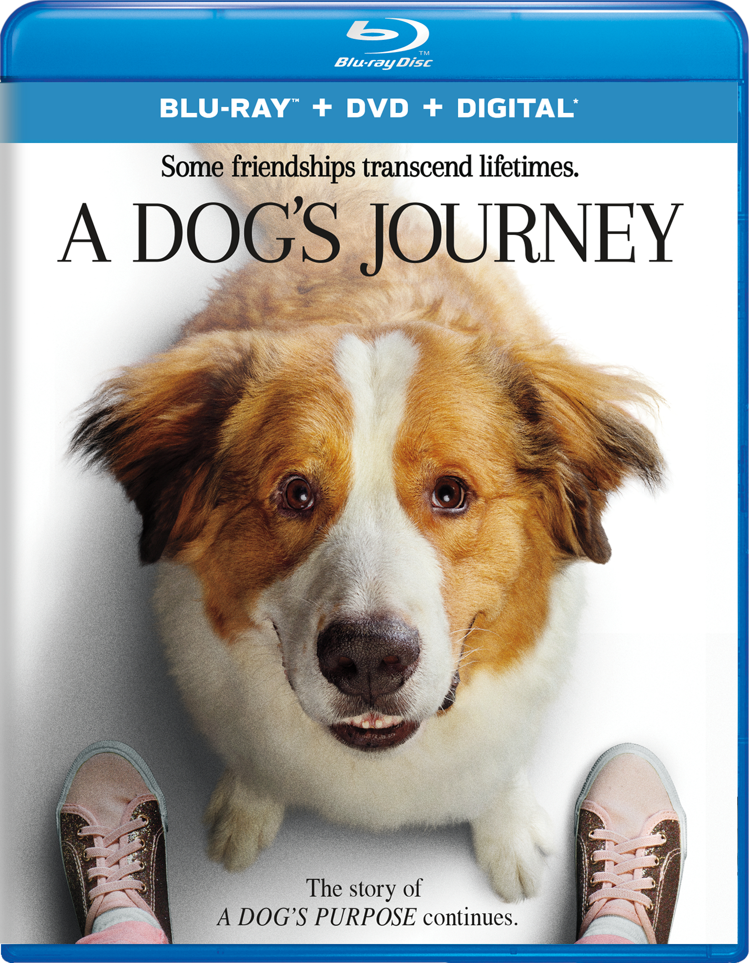 A Dog's Journey (2019) La Razón de Estar Contigo: Un Nuevo Viaje (2019) [E-AC3 5.1 + SUP] [Blu Ray-Rip] [GOOGLEDRIVE*] 242908_front