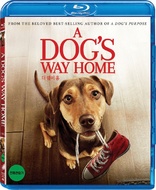 A Dog's Way Home (Blu-ray Movie)