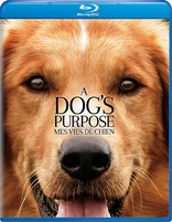 A Dog's Purpose (Blu-ray Movie)