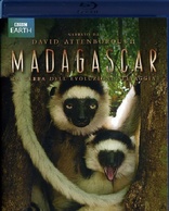 Madagascar (Blu-ray Movie), temporary cover art