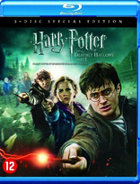 Harry Potter and the Deathly Hallows: Part 2 (Blu-ray Movie)