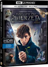 Fantastic Beasts and Where to Find Them 4K (Blu-ray Movie)