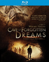 Cave of Forgotten Dreams 3D (Blu-ray Movie)