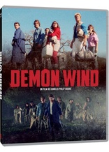 Demon Wind (Blu-ray Movie), temporary cover art