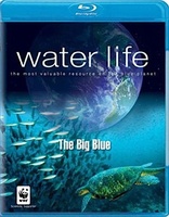 Water Life: The Big Blue (Blu-ray Movie), temporary cover art