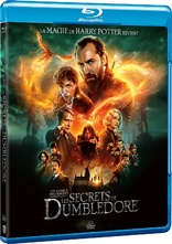 Fantastic Beasts: The Secrets of Dumbledore (Blu-ray Movie)