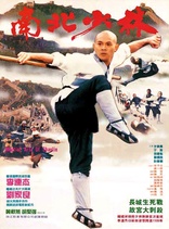 Martial Arts of Shaolin (Blu-ray Movie)