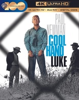 Cool Hand Luke 4K (Blu-ray Movie)