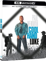 Cool Hand Luke 4K (Blu-ray Movie)