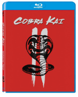 Cobra Kai: Season Two (Blu-ray Movie)