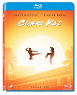 Cobra Kai: Season One (Blu-ray Movie)