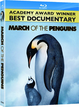 March of the Penguins (Blu-ray Movie)